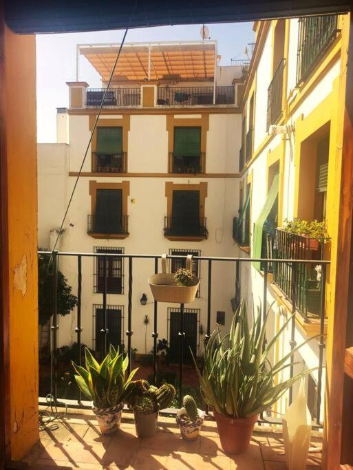 Plaza Cristo De Burgos Apartment Севиля Екстериор снимка