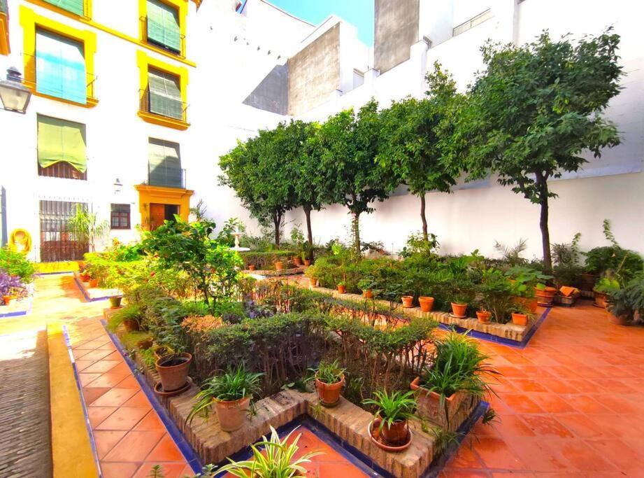 Plaza Cristo De Burgos Apartment Севиля Екстериор снимка
